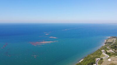 Karadeniz’de selin ardından tomruk adacıkları oluştu