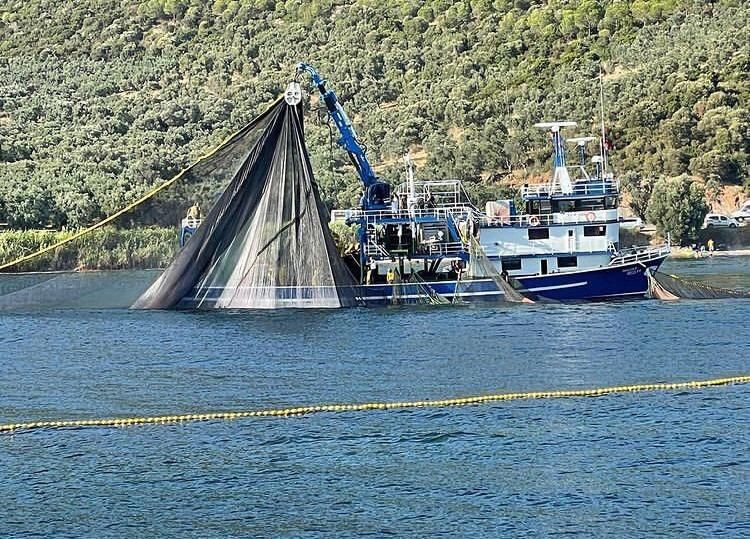 Bursa’da denize deneme ağları atıldı