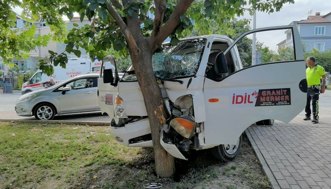 Bursa’da kontrolden çıkan kamyonet ağaca çarptı; sürücü yaralandı