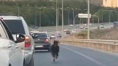 Bursa’da otobana çıkan keçi, trafiği birbirine kattı