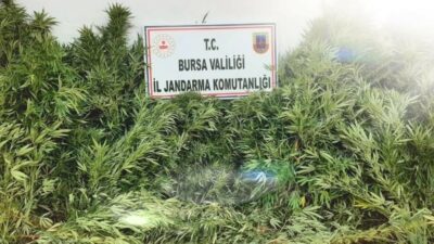 Bursa’da uyuşturucu operasyonu