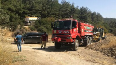 İzmir’de orman yangını