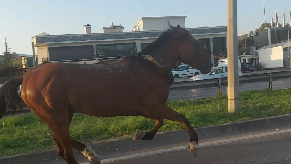 Bursa’da ana yolda dört nala yolculuk!