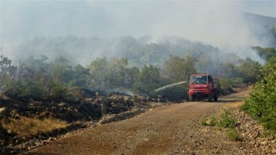 Bingöl’deki yangına müdahale sürüyor