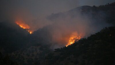 Tunceli’de orman yangını sürüyor