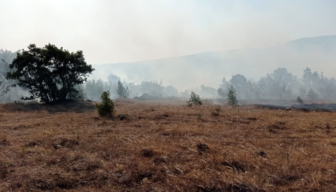 Balıkesir’de Savaştepe ilçesinde yangın