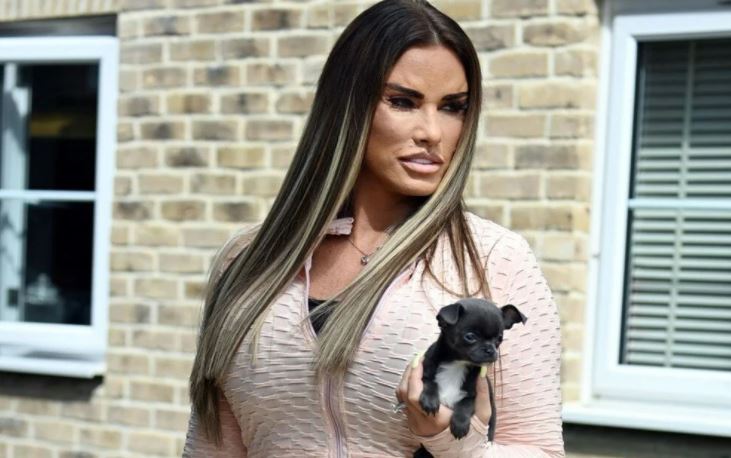 Katie Price estetik operasyonlarını izlenmeye açtı