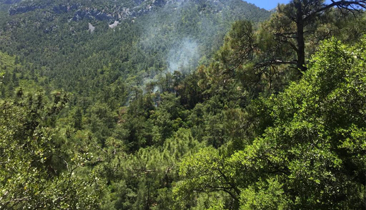 Tunceli’de ormanlık alanlara giriş çıkışlar 30 gün yasaklandı