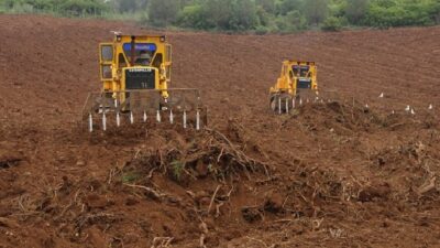 Tarım ve Orman Bakanlığı: Üreticilere 210 milyon TL ödeme yapılacak