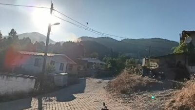 Bir orman yangını da Gemlik’te çıktı