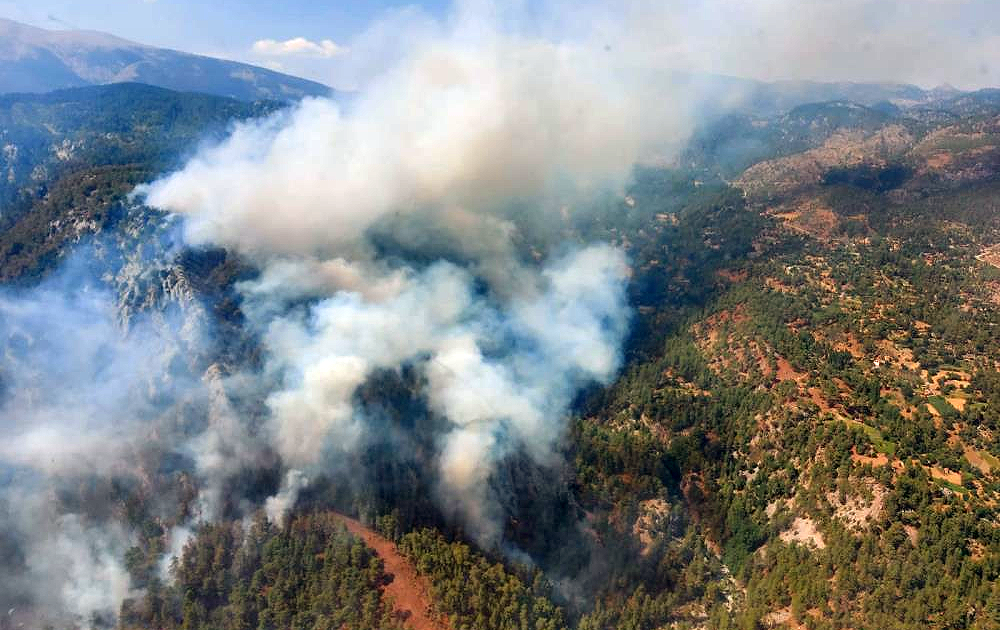 Muğla Köyceğiz yangını kontrol altına alındı