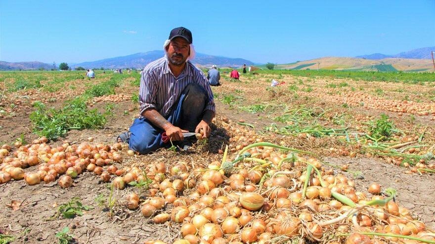 Bakan Pakdemirli’ye çiftçi tepkisi!