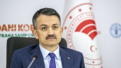 Bakan Pakdemirli: TMO, Eylül’de 800 bin ton hububatı satışa açtı