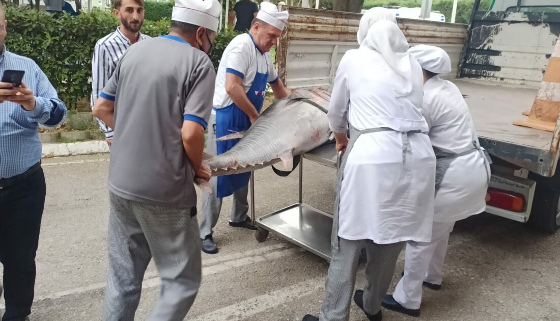 Bursa’da balık sezonu sıkı denetimle başladı