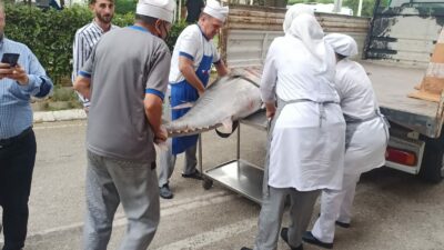 Bursa’da balık sezonu sıkı denetimle başladı