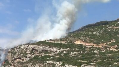 Hatay’da makilik alanda yangın