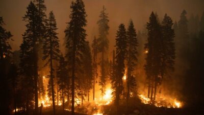 California’daki Caldor yangını 34 binden fazla yapıyı tehdit ediyor