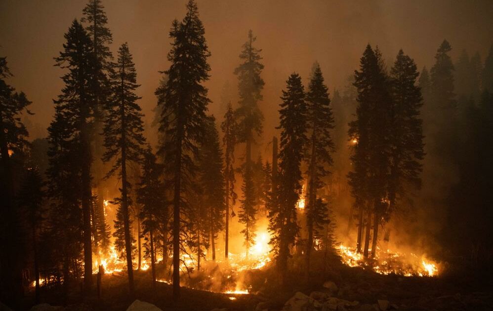 California’daki Caldor yangını 34 binden fazla yapıyı tehdit ediyor