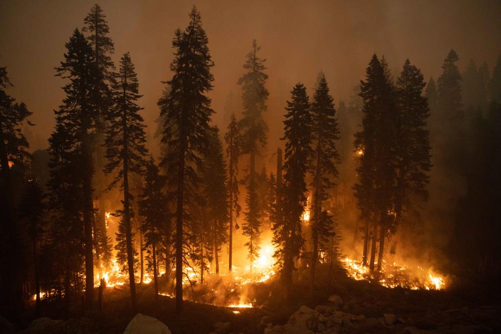 California’daki Caldor yangını 34 binden fazla yapıyı tehdit ediyor