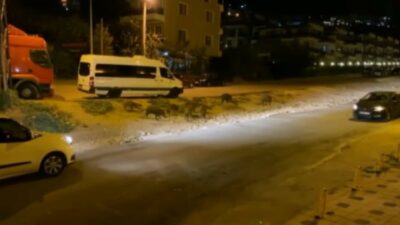 Bursa’da aç kalan domuzlar şehre indi