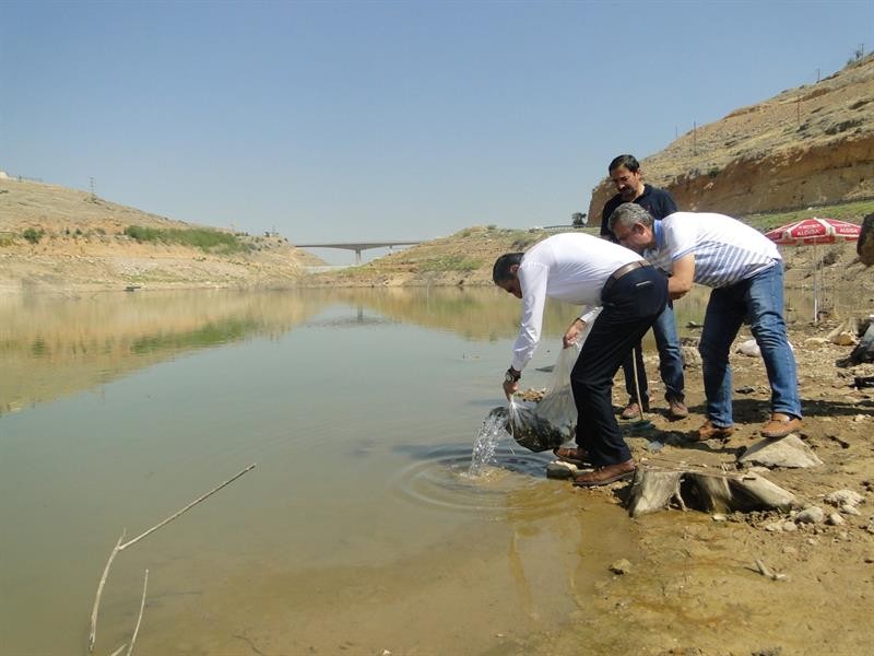 Göletlere 120 bin yavru balık bırakıldı