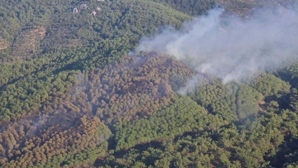 Balıkesir’de orman yangını