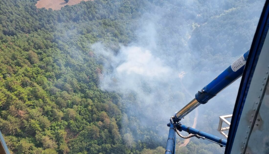 Balıkesir’de orman yangını