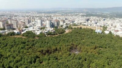 Bursa’da bir yangın paniği daha! Yerleşim yerlerine çok yakın…