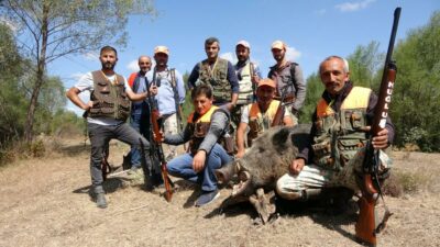 Canından bezen çiftçilerin imdadına domuz avcıları yetişti