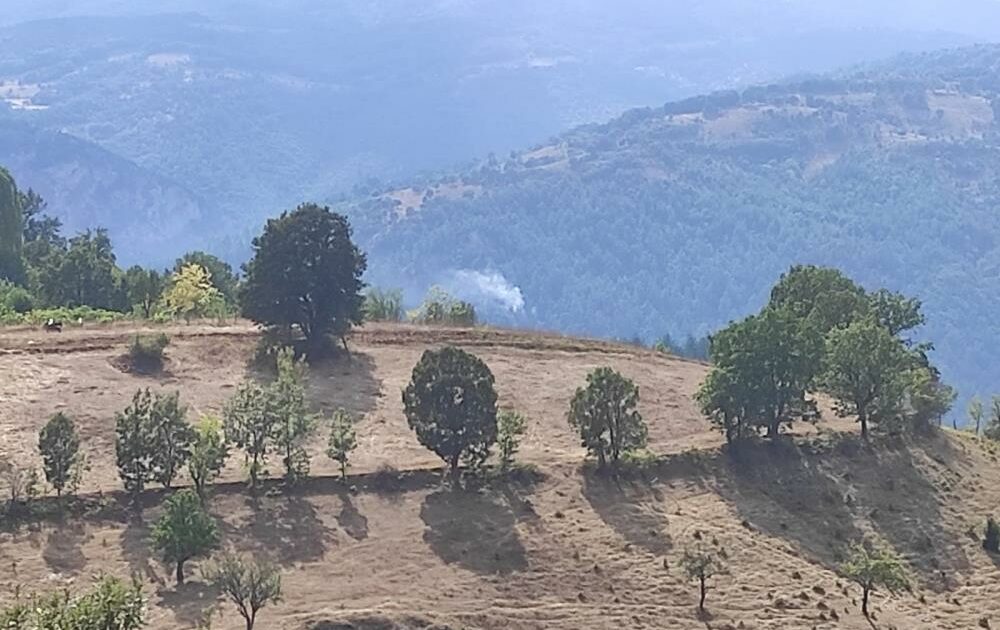 Bursa’da yıldırım düştü, orman yangını çıktı