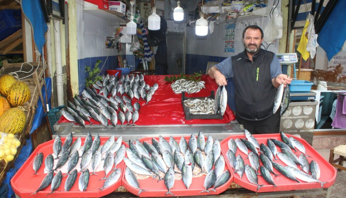 Tezgahlar bereketlendi… Hamsi ve palamutta fiyat düşüyor!