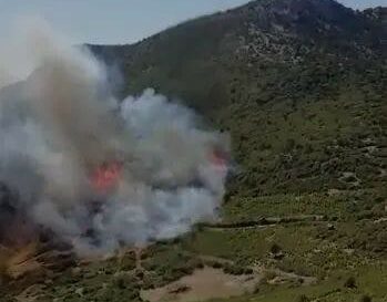 Burdur’da orman yangını!