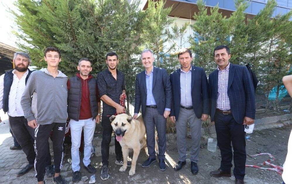 Çoban köpekleri İnegöl’de yarıştı