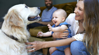 Bebekler ve köpeklerin ilginç benzerliği