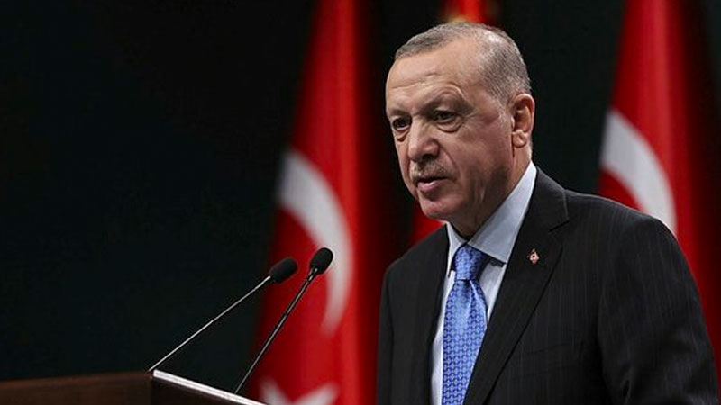 Erdoğan: FETÖ belasından dost ülkelerin de temizlenmesini istiyoruz