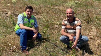 Bursa’da yaban mersini üreticilerinin yüzü gülüyor