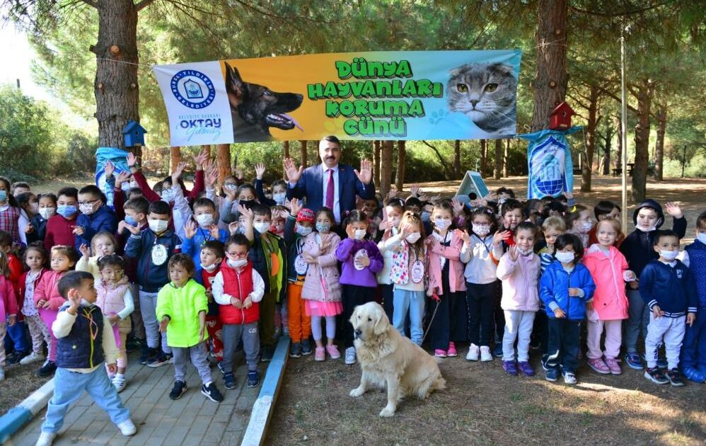 Yıldırım’da sokak hayvanları emin ellerde