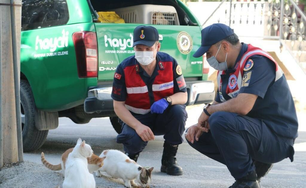 Bursa’da Jandarma, Hayvanları Koruma Günü’nü unutmadı