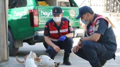 Bursa’da Jandarma, Hayvanları Koruma Günü’nü unutmadı