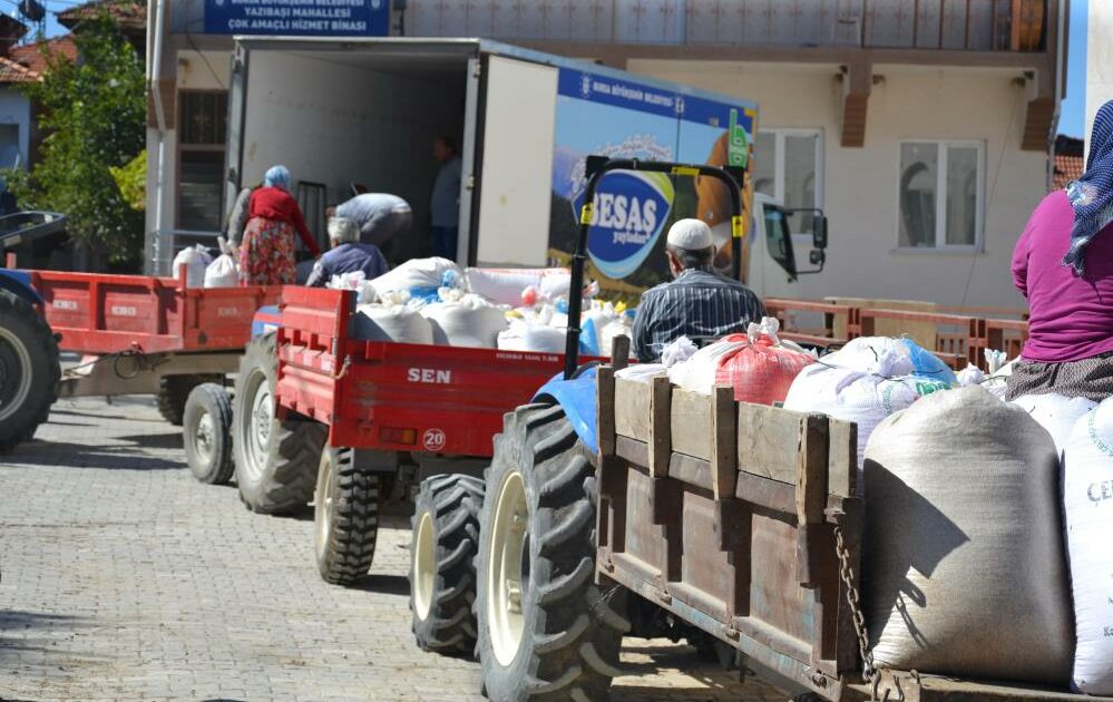 Bursa’da siyez buğdayında hasat bereketi