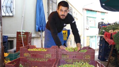 Günde yedi zeytinle alzheimerdan korunun