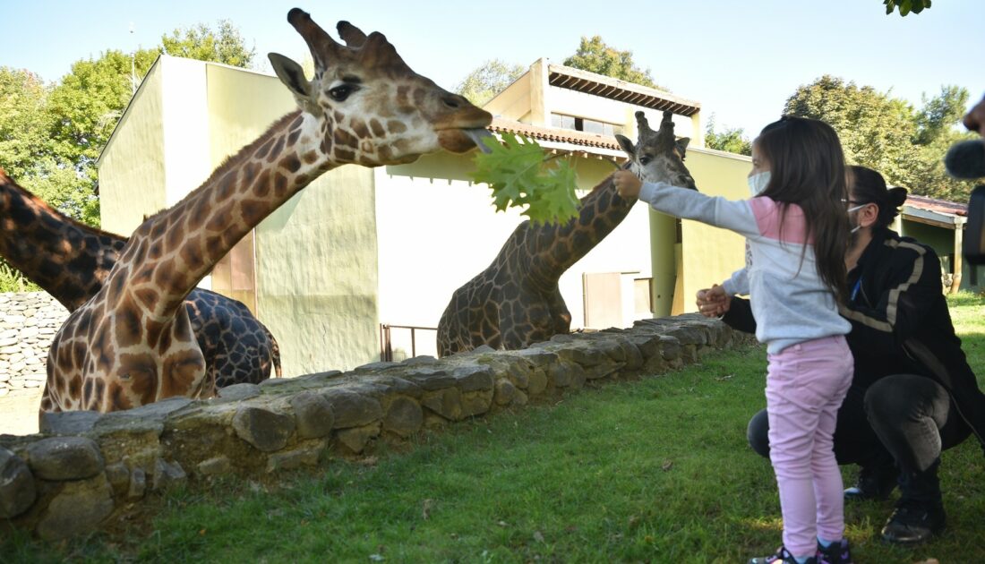 Bursa’da Hayvanat Bahçesi’ne özel konuklar