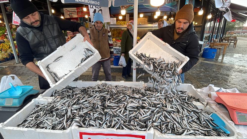 Hamsi tezgahları şenlendirdi, satışlar patladı