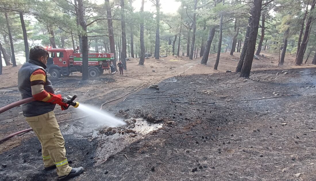 Kazdağları’nda orman yangını