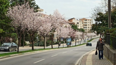 TEMA Vakfı’ndan iklim değişikliği paylaşımı! Bursa’da ilk defa…