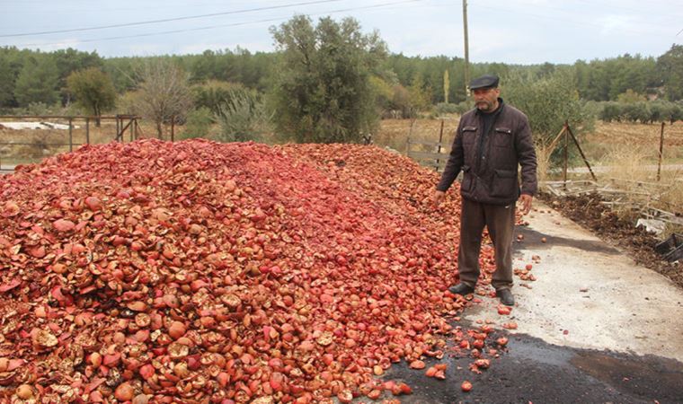 Çiftçilerden gübre isyanı: Biz nasıl ayakta kalacağız?