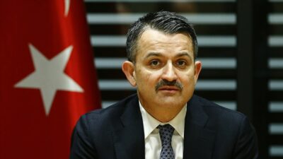 Bakan Pakdemirli: Tüketicilerimizin ıspanakla ilgili şüphesi olmasın