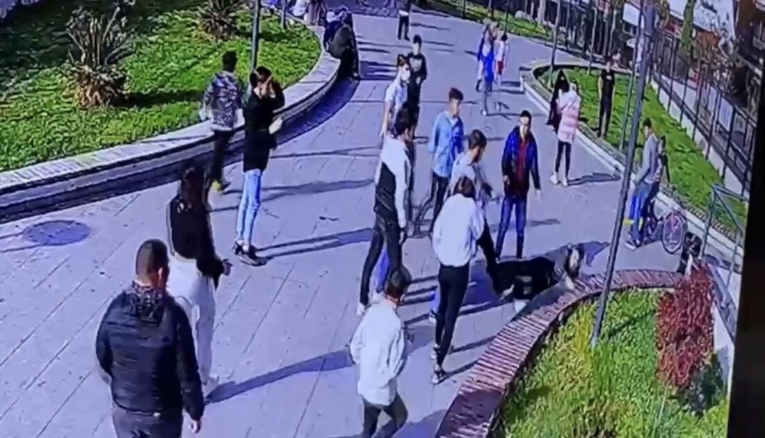 Parkta bıçaklı kavga kamerada