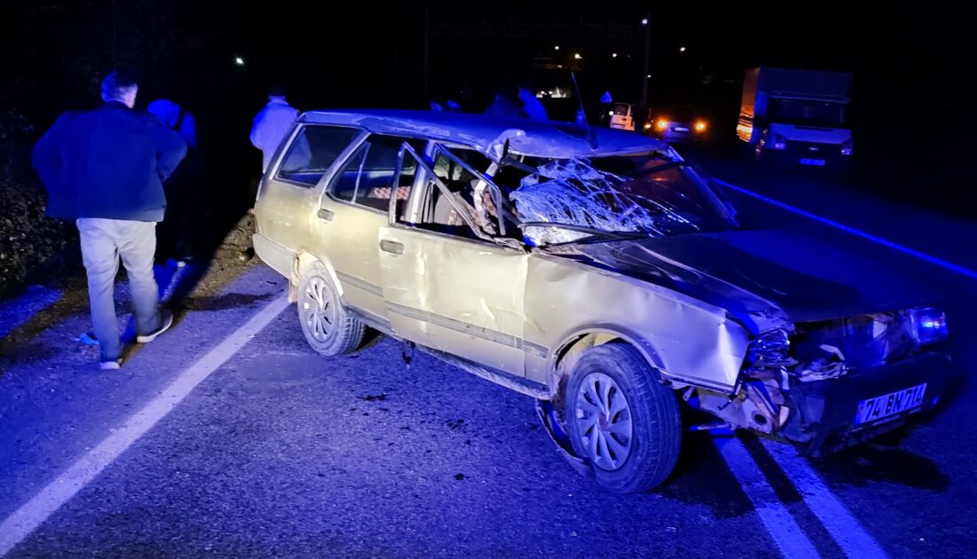 Otomobil yol kenarındaki ineklere çarptı: 2 yaralı