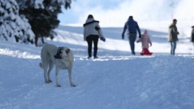 Muş’ta eğitime kar engeli